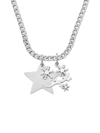 Cold-Blooded Perk Necklace (Steel)